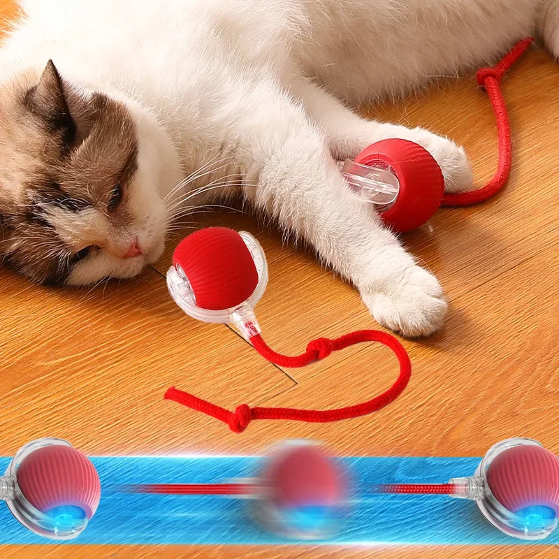 Comfy4Pets™ 360° Interactive Rolling Pet Ball with Faux Tail