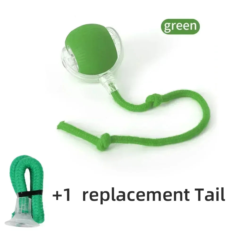 Comfy4Pets™ 360° Interactive Rolling Pet Ball with Faux Tail