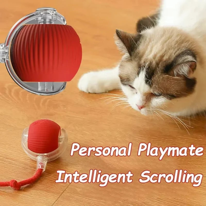 Comfy4Pets™ 360° Interactive Rolling Pet Ball with Faux Tail