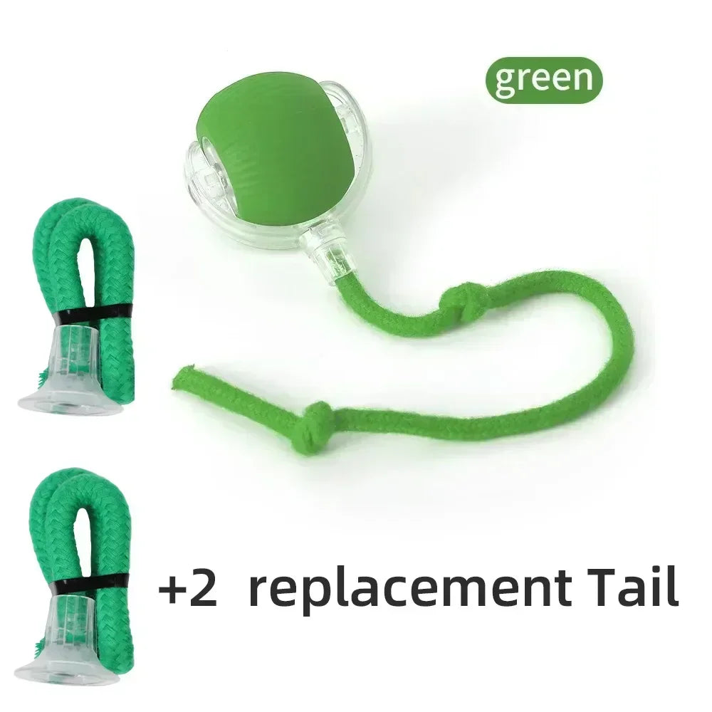 Comfy4Pets™ 360° Interactive Rolling Pet Ball with Faux Tail