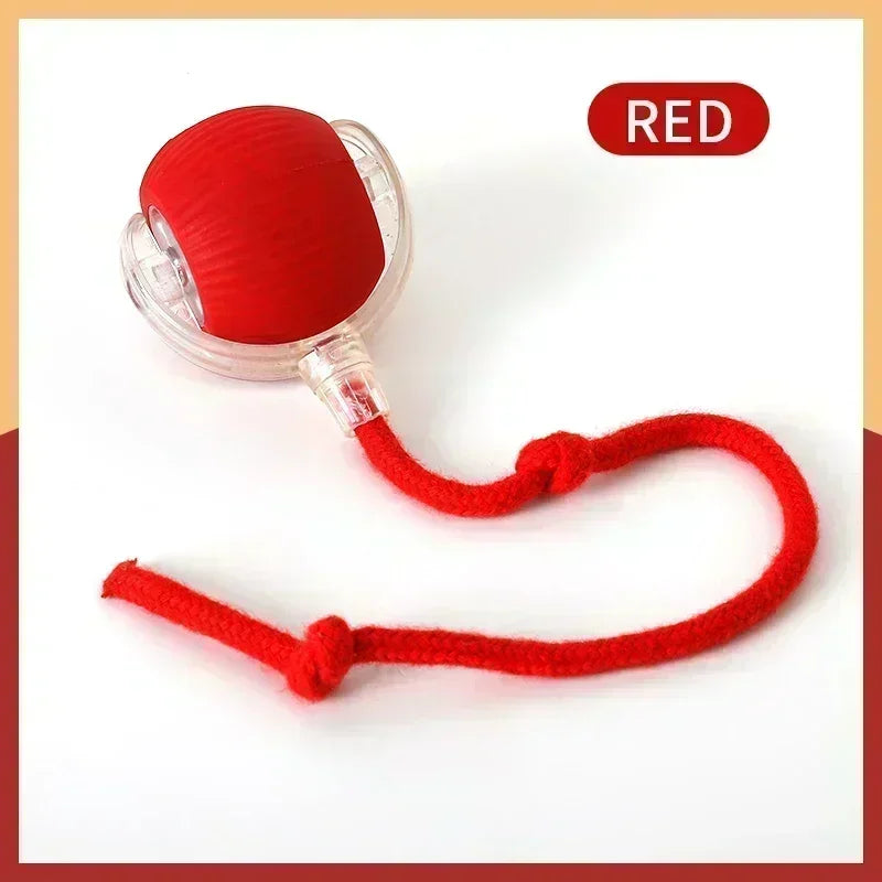 Comfy4Pets™ 360° Interactive Rolling Pet Ball with Faux Tail
