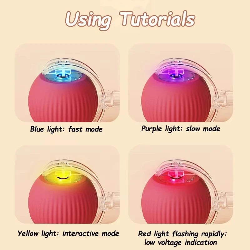 Comfy4Pets™ 360° Interactive Rolling Pet Ball with Faux Tail