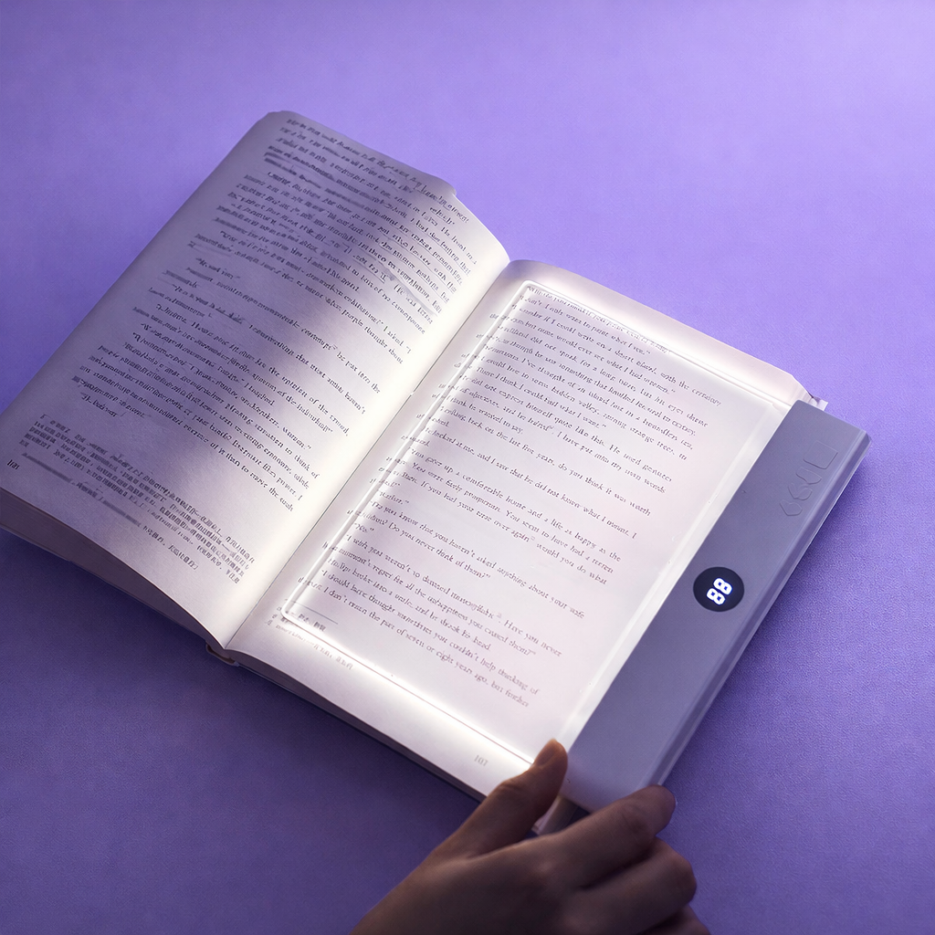 VIONEXIA™ LumiPage Pro Light