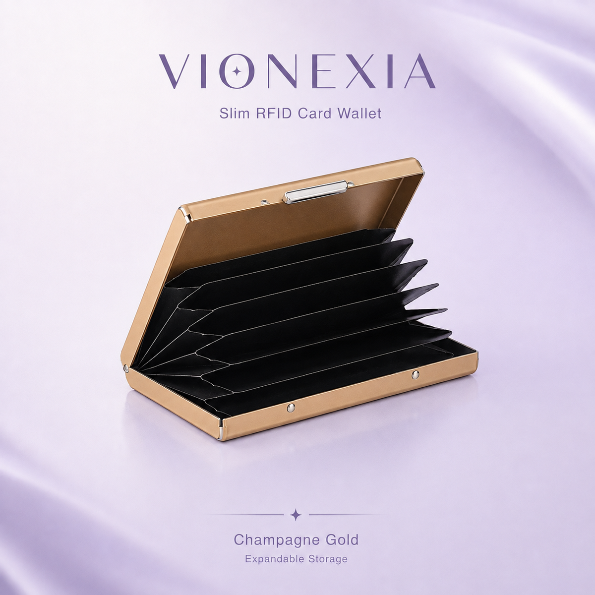 VIONEXIA™ VaultCard Pro