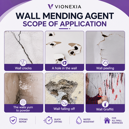 VIONEXIA™ WallFix Repair Paste