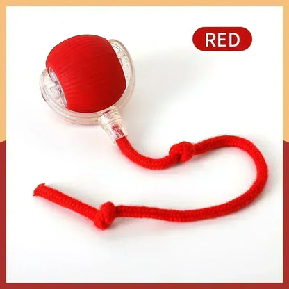 Comfy4Pets™ 360° Interactive Rolling Pet Ball with Faux Tail