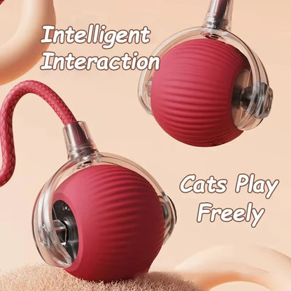 Comfy4Pets™ 360° Interactive Rolling Pet Ball with Faux Tail